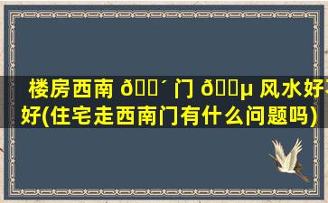 楼房西南 🐴 门 🐵 风水好不好(住宅走西南门有什么问题吗)